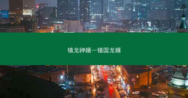 镇龙神婿—镇国龙婿