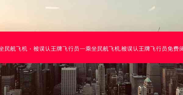 乘坐民航飞机，被误认王牌飞行员—乘坐民航飞机,被误认王牌飞行员免费阅读