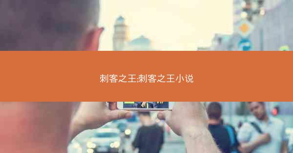刺客之王;刺客之王小说