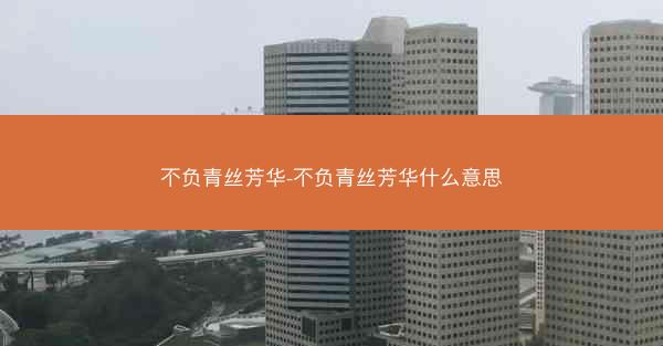 不负青丝芳华-不负青丝芳华什么意思
