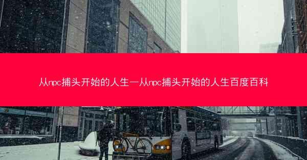 从npc捕头开始的人生—从npc捕头开始的人生百度百科
