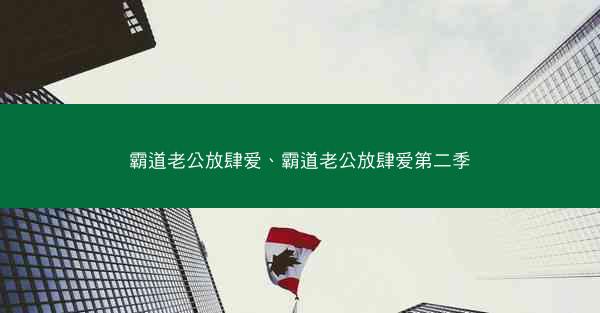 霸道老公放肆爱、霸道老公放肆爱第二季