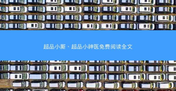 超品小厮、超品小神医免费阅读全文