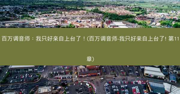 百万调音师：我只好亲自上台了！(百万调音师-我只好亲自上台了! 第11章)