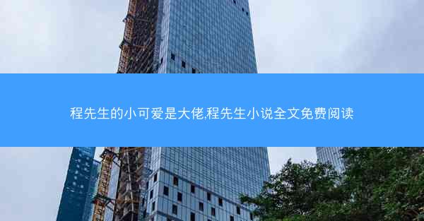 程先生的小可爱是大佬,程先生小说全文免费阅读