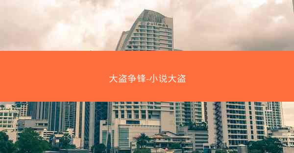 大盗争锋-小说大盗