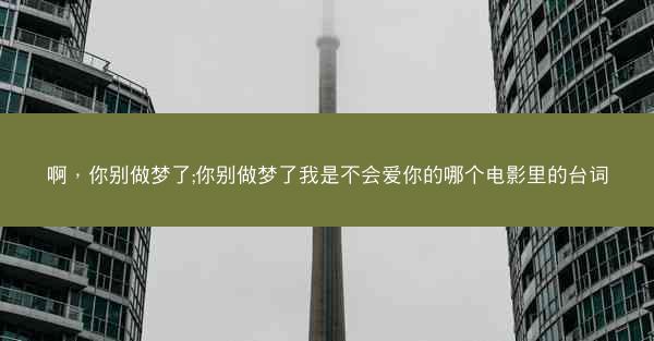 啊，你别做梦了;你别做梦了我是不会爱你的哪个电影里的台词