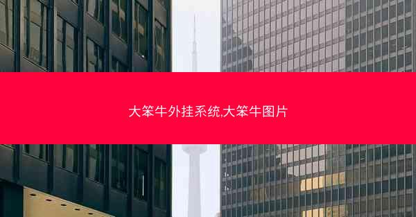 大笨牛外挂系统,大笨牛图片
