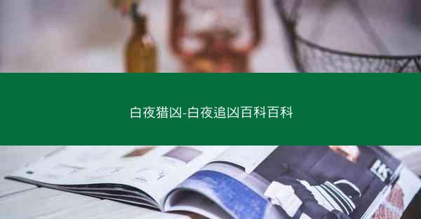 白夜猎凶-白夜追凶百科百科