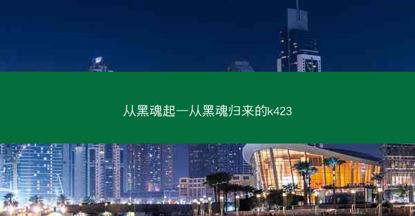 从黑魂起—从黑魂归来的k423