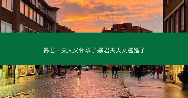 暴君，夫人又怀孕了;暴君夫人又逃婚了