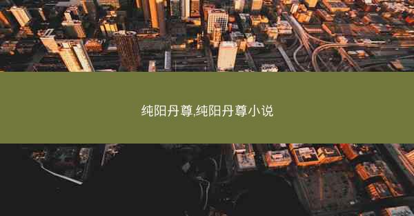 纯阳丹尊,纯阳丹尊小说