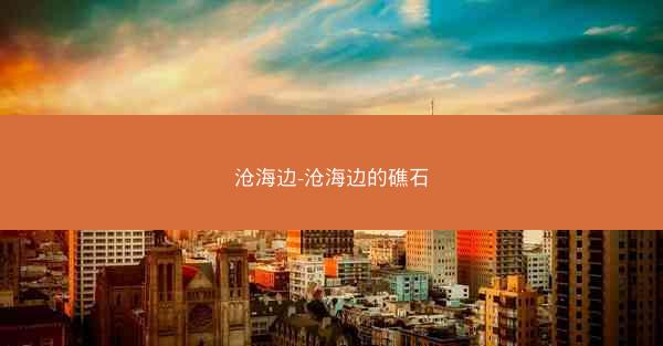 沧海边-沧海边的礁石