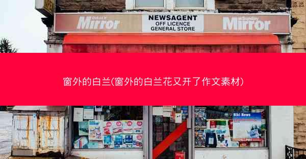 窗外的白兰(窗外的白兰花又开了作文素材)