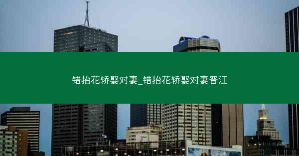 错抬花轿娶对妻_错抬花轿娶对妻晋江