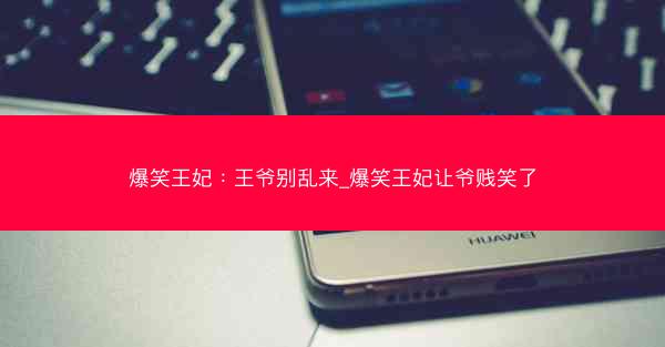 爆笑王妃：王爷别乱来_爆笑王妃让爷贱笑了