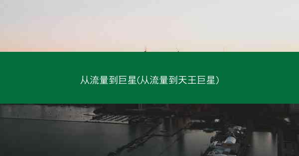 从流量到巨星(从流量到天王巨星)