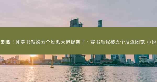 刺激！刚穿书就被五个反派大佬提亲了、穿书后我被五个反派团宠 小说