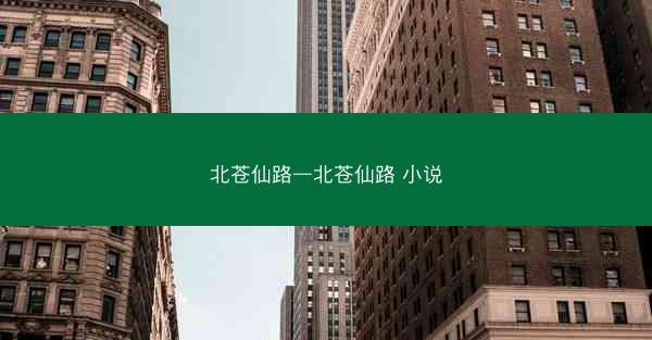 北苍仙路—北苍仙路 小说