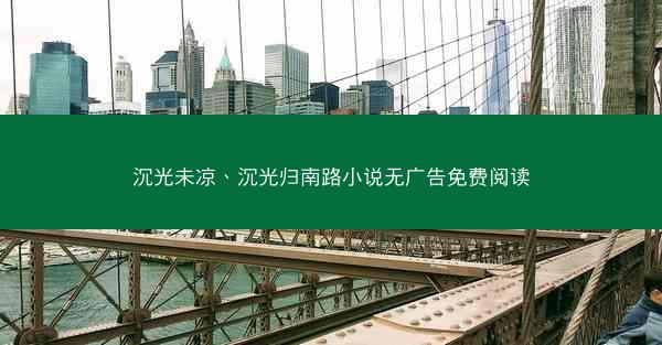 沉光未凉、沉光归南路小说无广告免费阅读