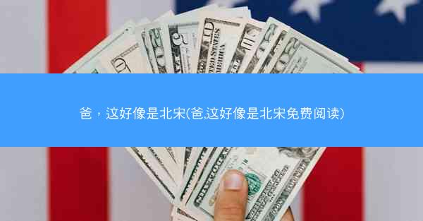 爸，这好像是北宋(爸,这好像是北宋免费阅读)