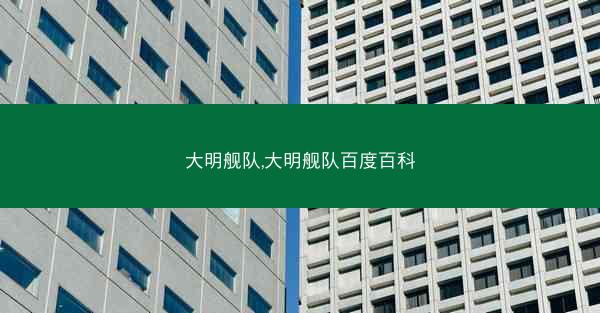 大明舰队,大明舰队百度百科