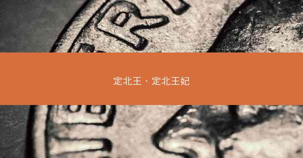 定北王、定北王妃