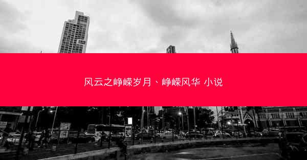 风云之峥嵘岁月、峥嵘风华 小说