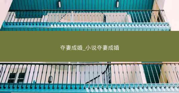 夺妻成婚_小说夺妻成婚