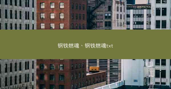钢铁燃魂、钢铁燃魂txt