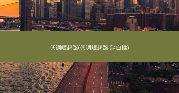 低调崛起路(低调崛起路 胖白橘)