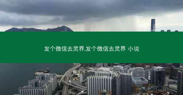 发个微信去灵界,发个微信去灵界 小说