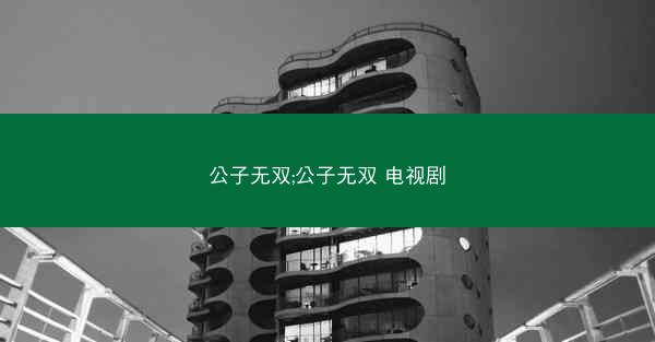 公子无双;公子无双 电视剧