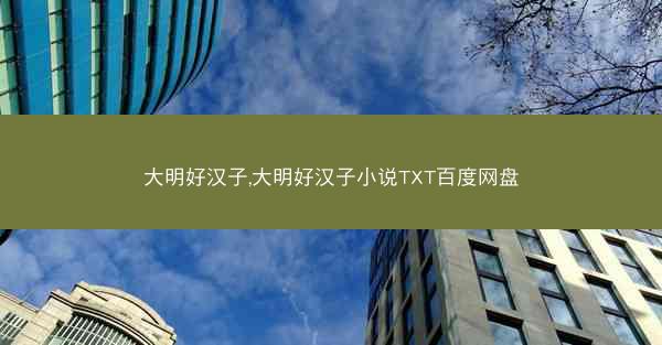 大明好汉子,大明好汉子小说TXT百度网盘