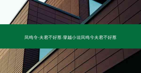凤鸣令·夫君不好惹-穿越小说凤鸣今夫君不好惹
