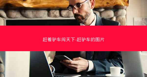 赶着驴车闯天下-赶驴车的图片