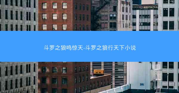 斗罗之狼鸣惊天-斗罗之狼行天下小说