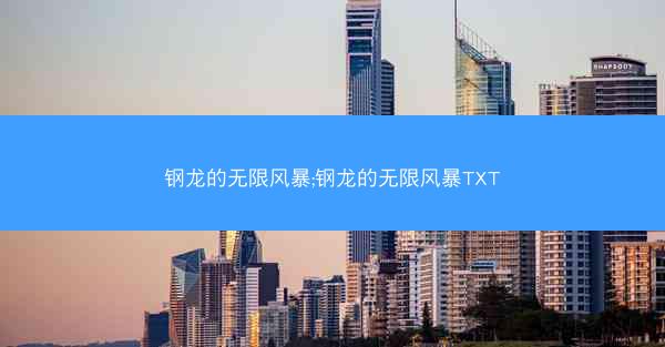 钢龙的无限风暴;钢龙的无限风暴TXT