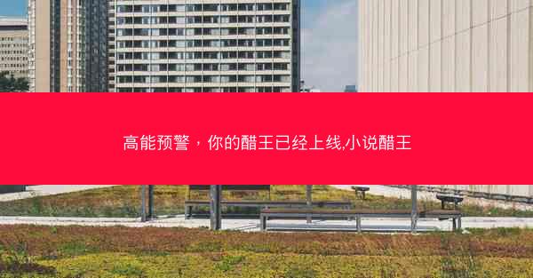 高能预警，你的醋王已经上线,小说醋王