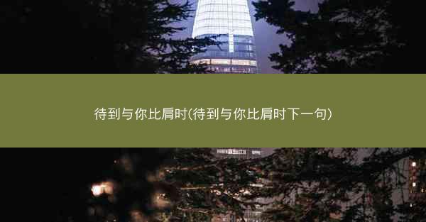 待到与你比肩时(待到与你比肩时下一句)