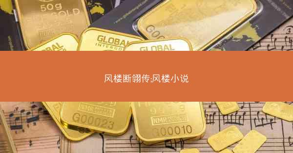 风楼断翎传;风楼小说