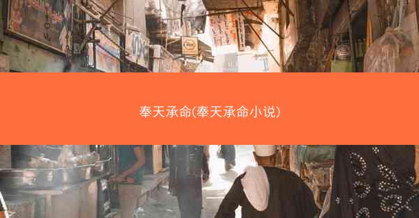 奉天承命(奉天承命小说)