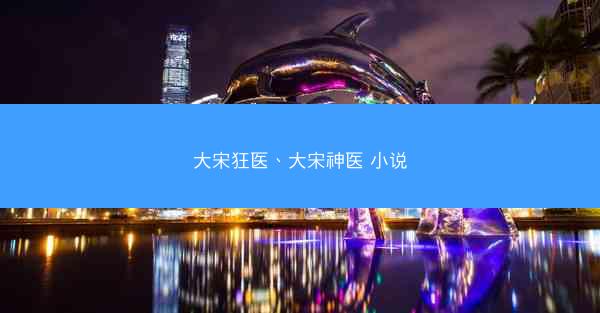 大宋狂医、大宋神医 小说