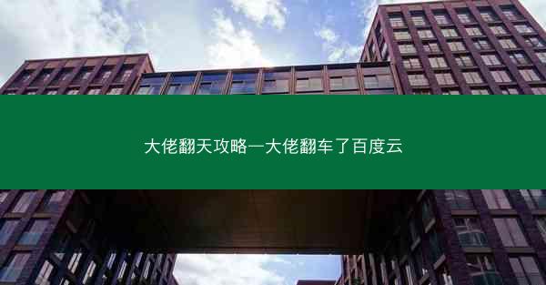 大佬翻天攻略—大佬翻车了百度云