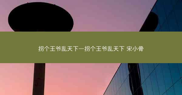 拐个王爷乱天下—拐个王爷乱天下 宋小骨