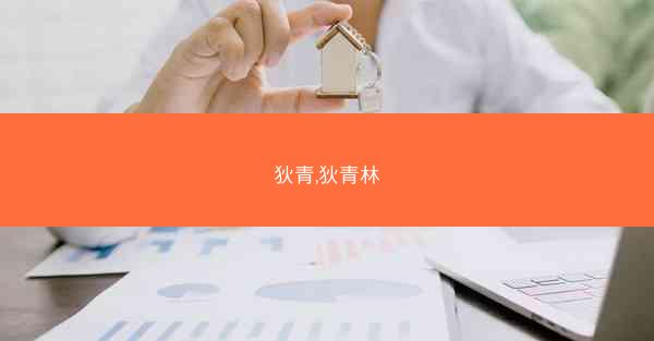 狄青,狄青林