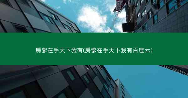 房爹在手天下我有(房爹在手天下我有百度云)