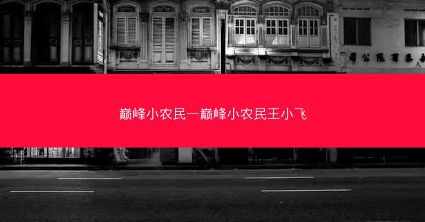 巅峰小农民—巅峰小农民王小飞