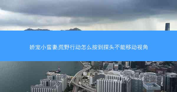 娇宠小蛮妻;荒野行动怎么按到探头不能移动视角