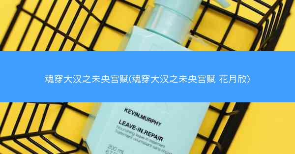 魂穿大汉之未央宫赋(魂穿大汉之未央宫赋 花月欣)
